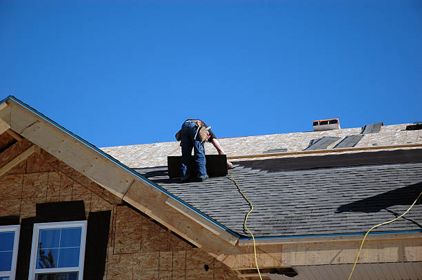 Best Roof Ventilation Installation  in Brownsville, FL