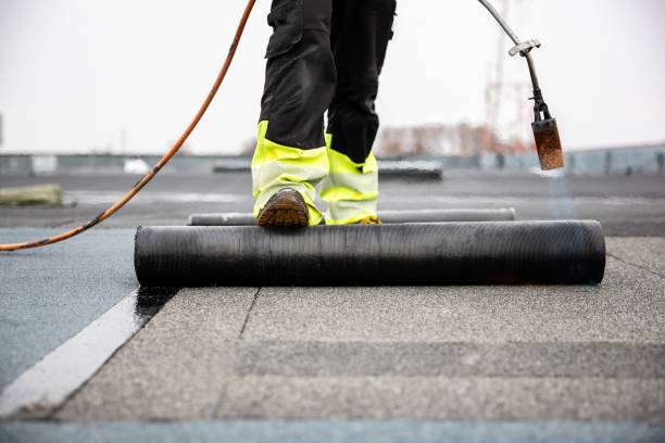 Best Roof Maintenance and Cleaning  in Brownsville, FL